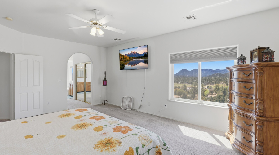 Master Bedroom w View