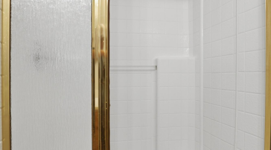 Guest Bathroom Shower