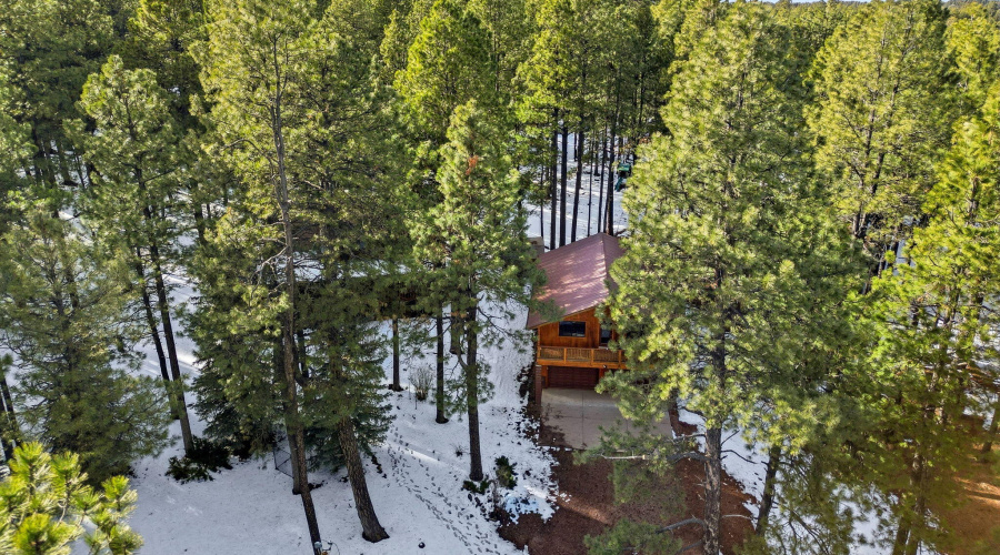 1626QuailTrail-ForestLakes-AZ-41