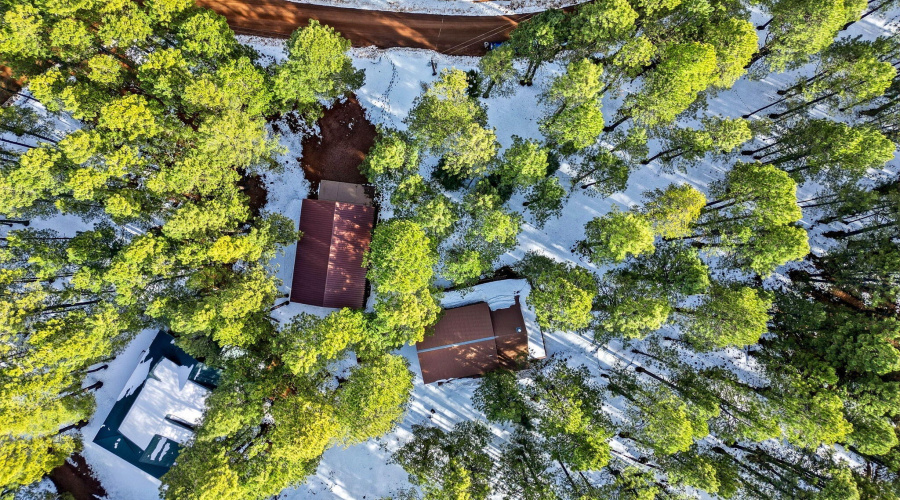 1626QuailTrail-ForestLakes-AZ-44