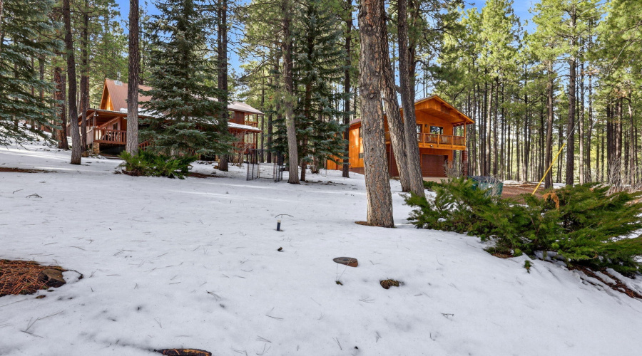 1626QuailTrail-ForestLakes-AZ-2