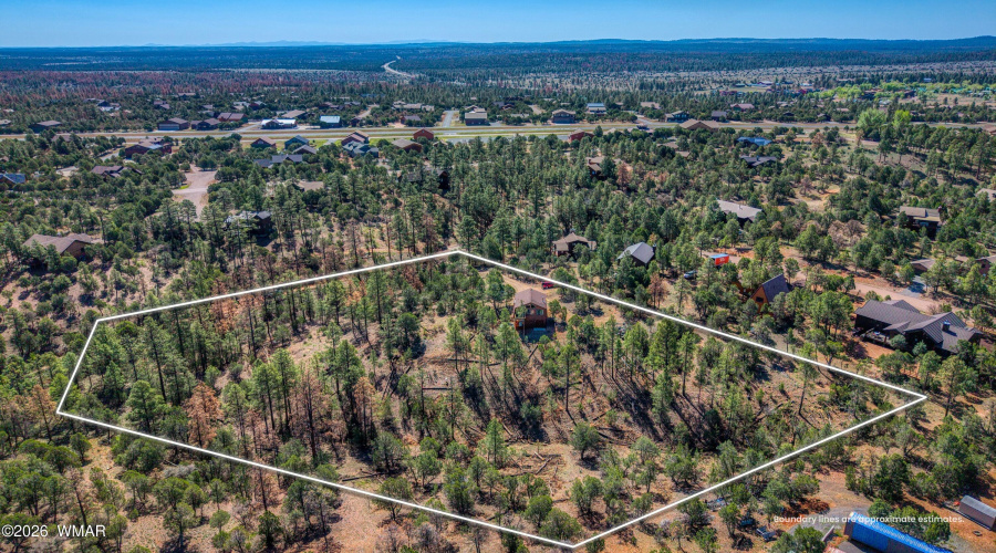 Homestead Aerial4