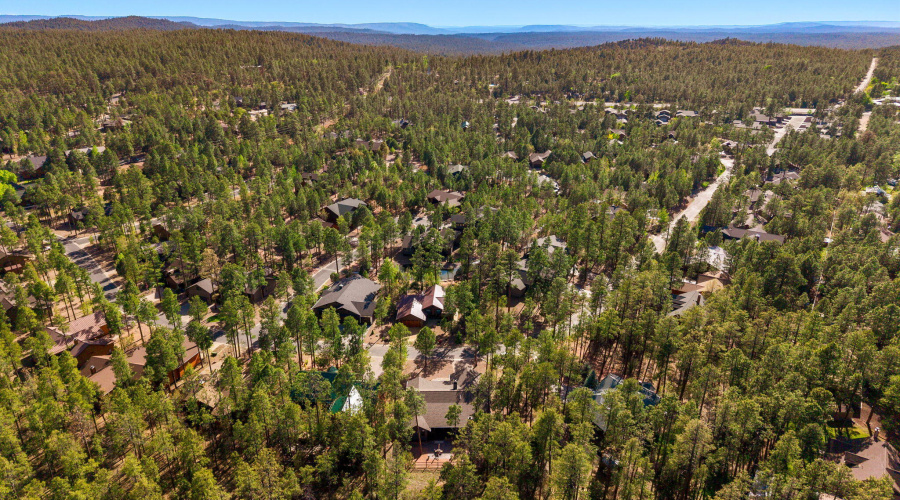 4770MountainGateCir-Pinetop-AZ-45