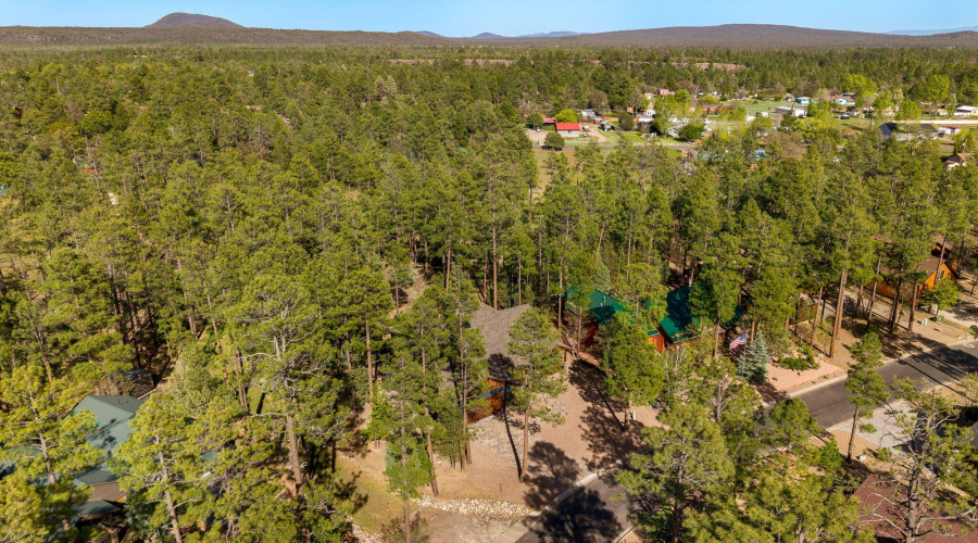 4770MountainGateCir-Pinetop-AZ-46