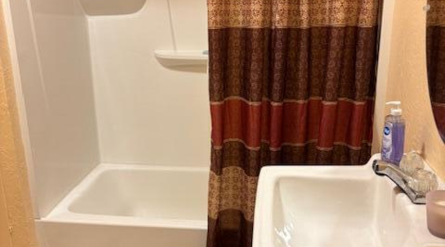 IMG_0729