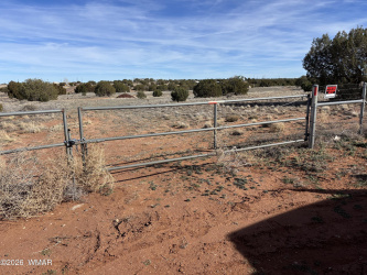 4533 Appaloosa Road, Snowflake, Arizona 85937, ,Land,For Sale,Appaloosa,260846
