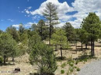 3377 Whisper Lane, Heber, Arizona 85928, ,Land,For Sale,Whisper,260095