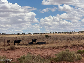 8400 8358 & 8357 Terry Trail, Snowflake, Arizona 85937, ,Land,For Sale,8358 & 8357 Terry,260839