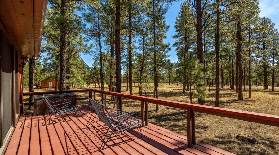 11N1030-Greer-AZ-23