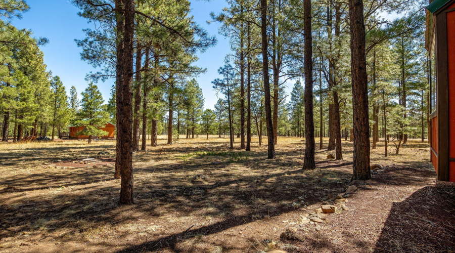 11N1030-Greer-AZ-26