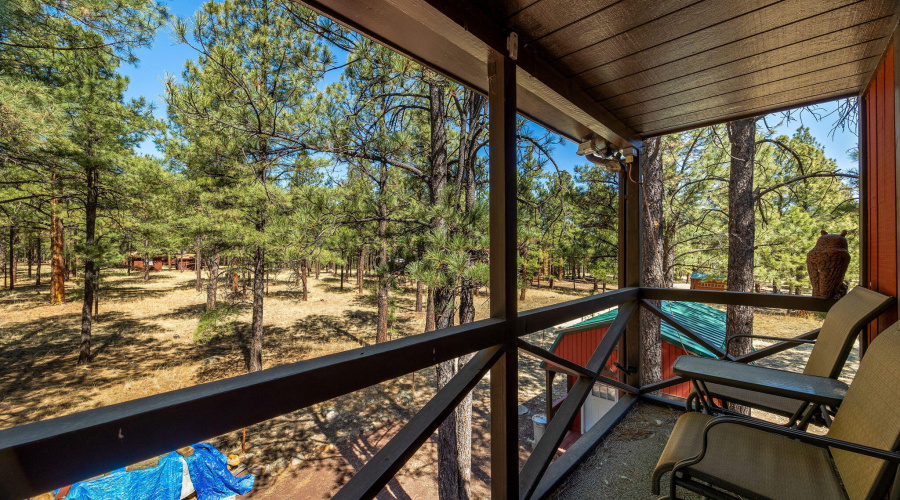 11N1030-Greer-AZ-4