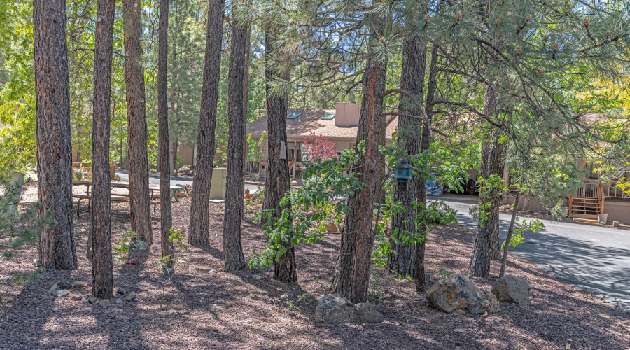 _DSC4017-HDR-Edit
