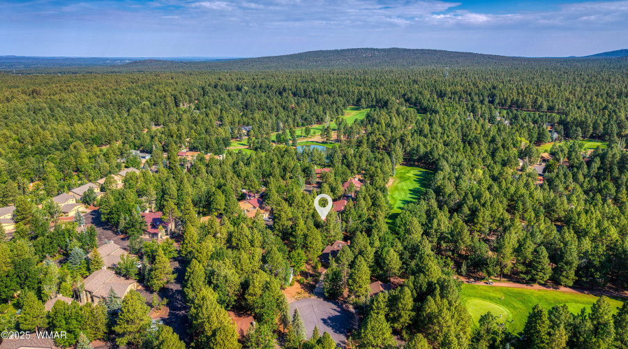 Drone Golf