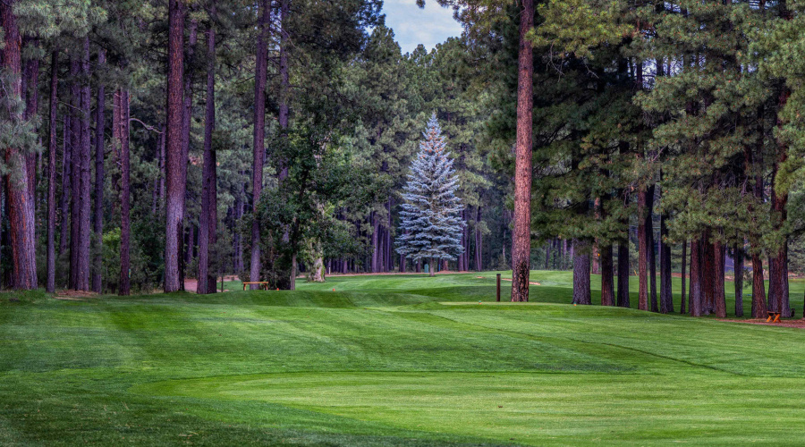 Course Green