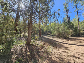 3054 Neal Drive, Payson, Arizona 85541, ,Land,For Sale,Neal,93940