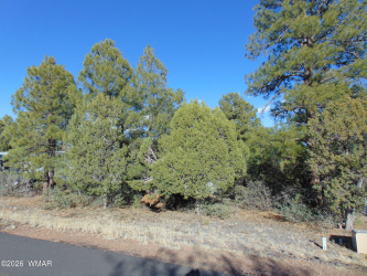 681 2Nd Street, Show Low, Arizona 85901, ,Land,For Sale,2Nd,260045