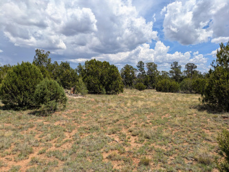 8384 HAVEN CREST Drive, Happy Jack, Arizona 86024, ,Land,For Sale,HAVEN CREST,93939