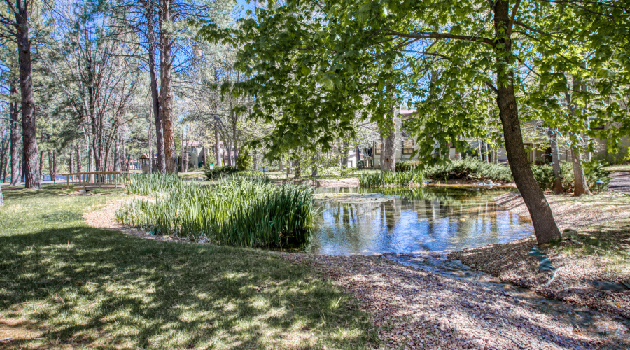 Property Pond
