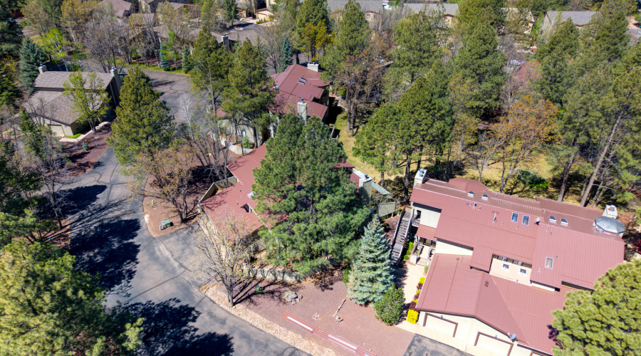 Drone of community