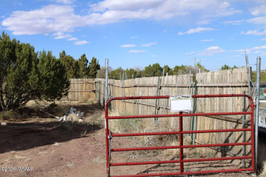 17 Bonita Lane, Concho, Arizona 85924, ,Land,For Sale,Bonita,260859