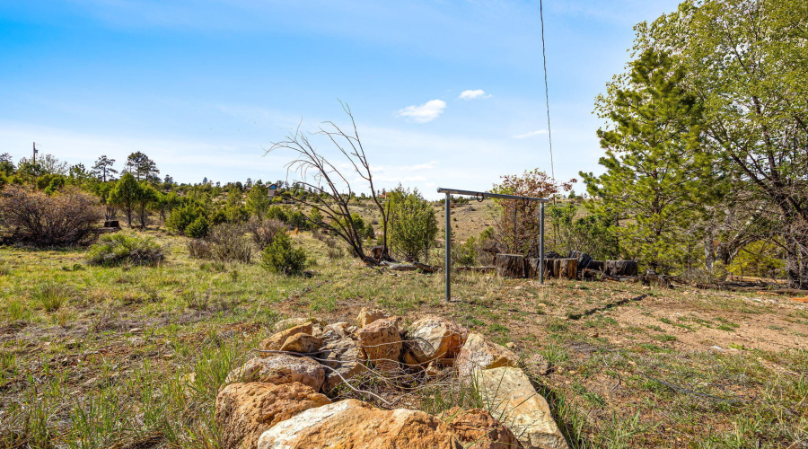 1841PineCone-Heber-AZ-31