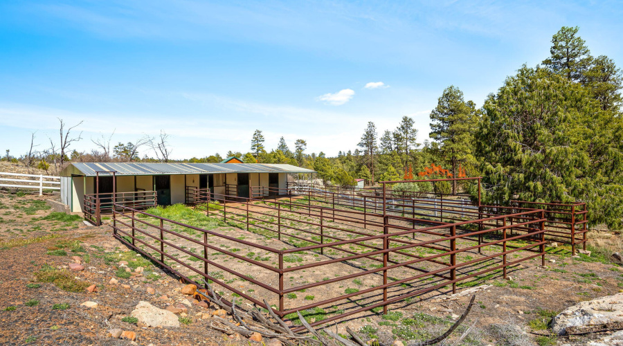 1841PineCone-Heber-AZ-32