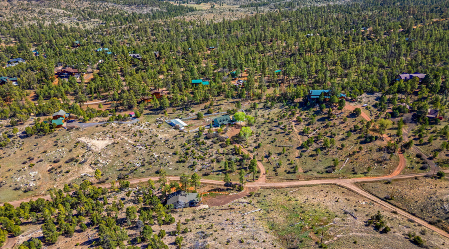 1841PineCone-Heber-AZ-41