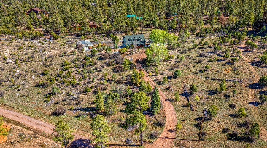 1841PineCone-Heber-AZ-42