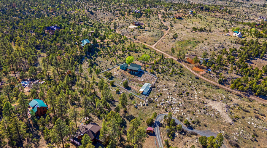 1841PineCone-Heber-AZ-43