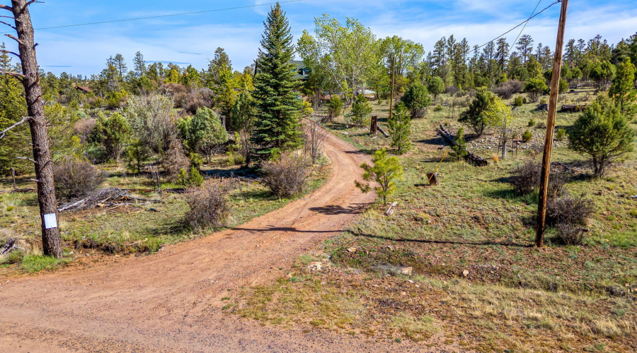 1841PineCone-Heber-AZ-44