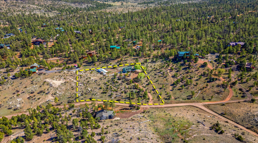 1841PineCone-Heber-AZ-45