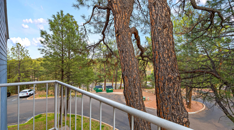 2700SWhiteMountainRd-ShowLow-AZ-11