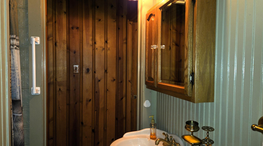 bathroom 1 sink