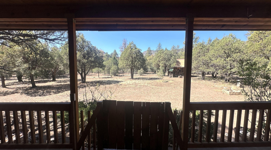 IMG_5378