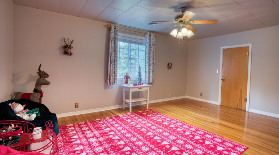 Paxmanphoto_PAX_0731