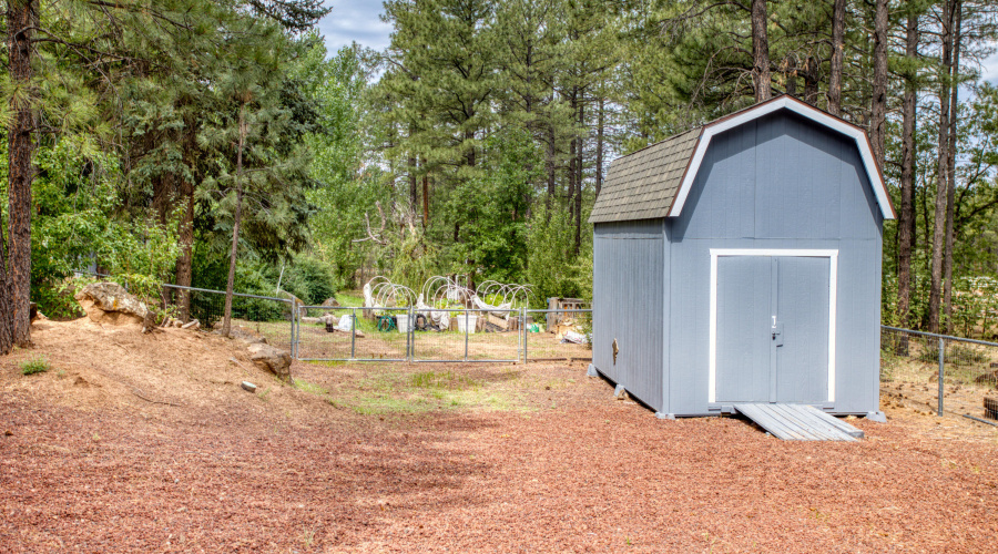 Paxmanphoto_PAX_0870
