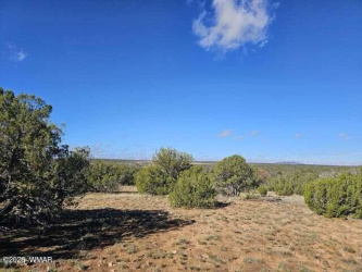 1725 Mcallister Avenue, Heber, Arizona 85928, ,Land,For Sale,Mcallister,93944