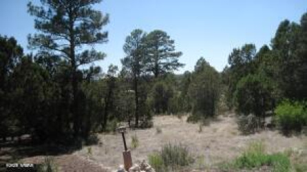 Overgaard, Arizona 85933, ,Land,For Sale,260886