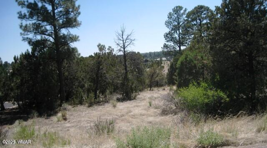 2223 Fairway 2