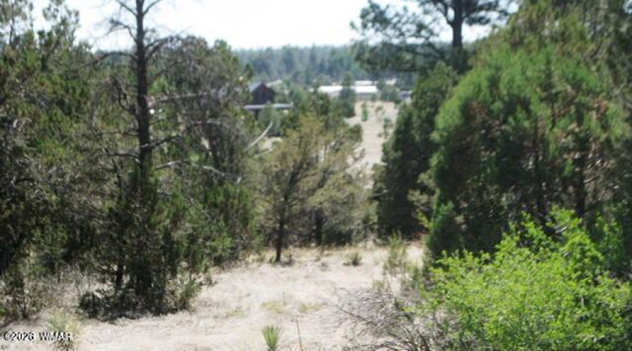 2223 Fairway 3