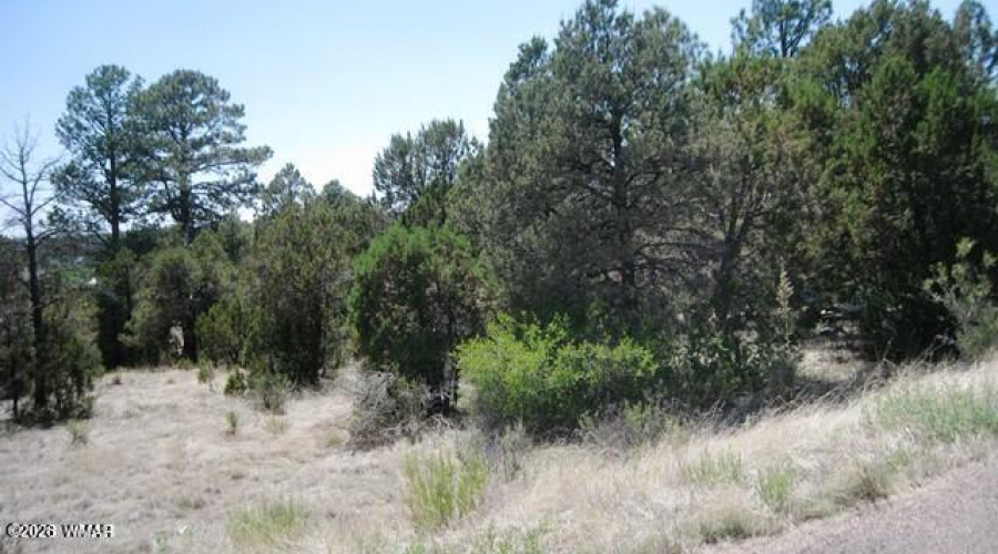 2223 Fairway 4