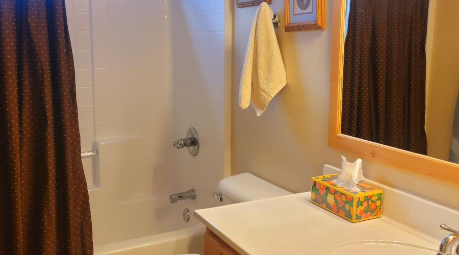 Bathroom2_1