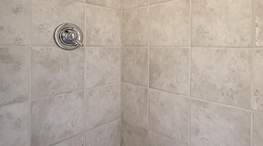 IMG_ 37