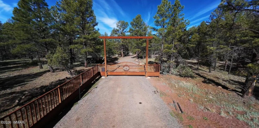 950 Birdsong Way, Lakeside, Arizona 85929, ,Land,For Sale,Birdsong,260900