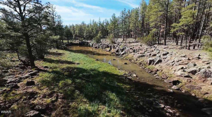 Seasonal Creek
