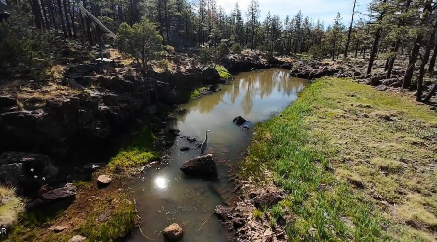 Seasonal Creek