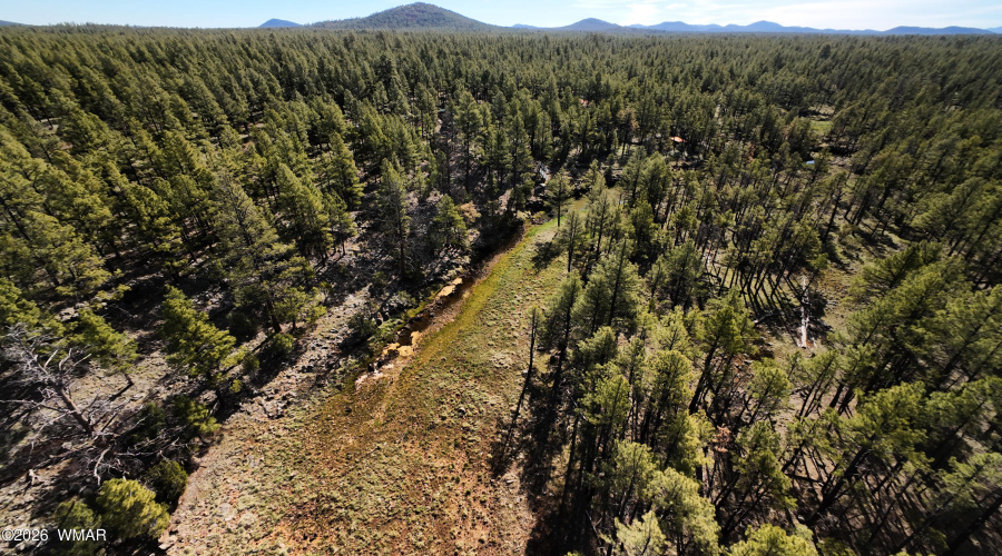 Seasonal Creek