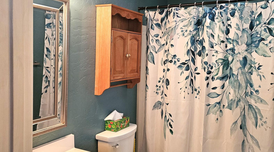 Hall Bathroom