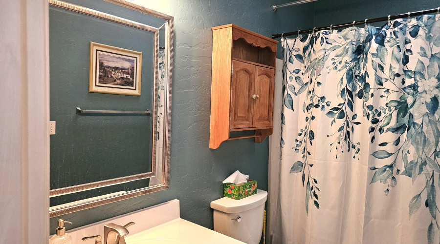 Hall Bathroom