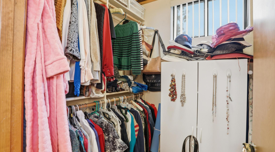 Primary Closet